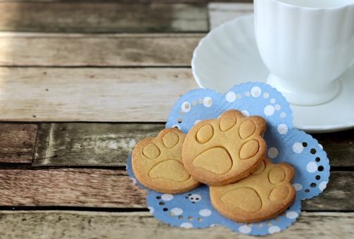 【chrome】cookieとキャッシュについて その違いや削除方法も色々ある